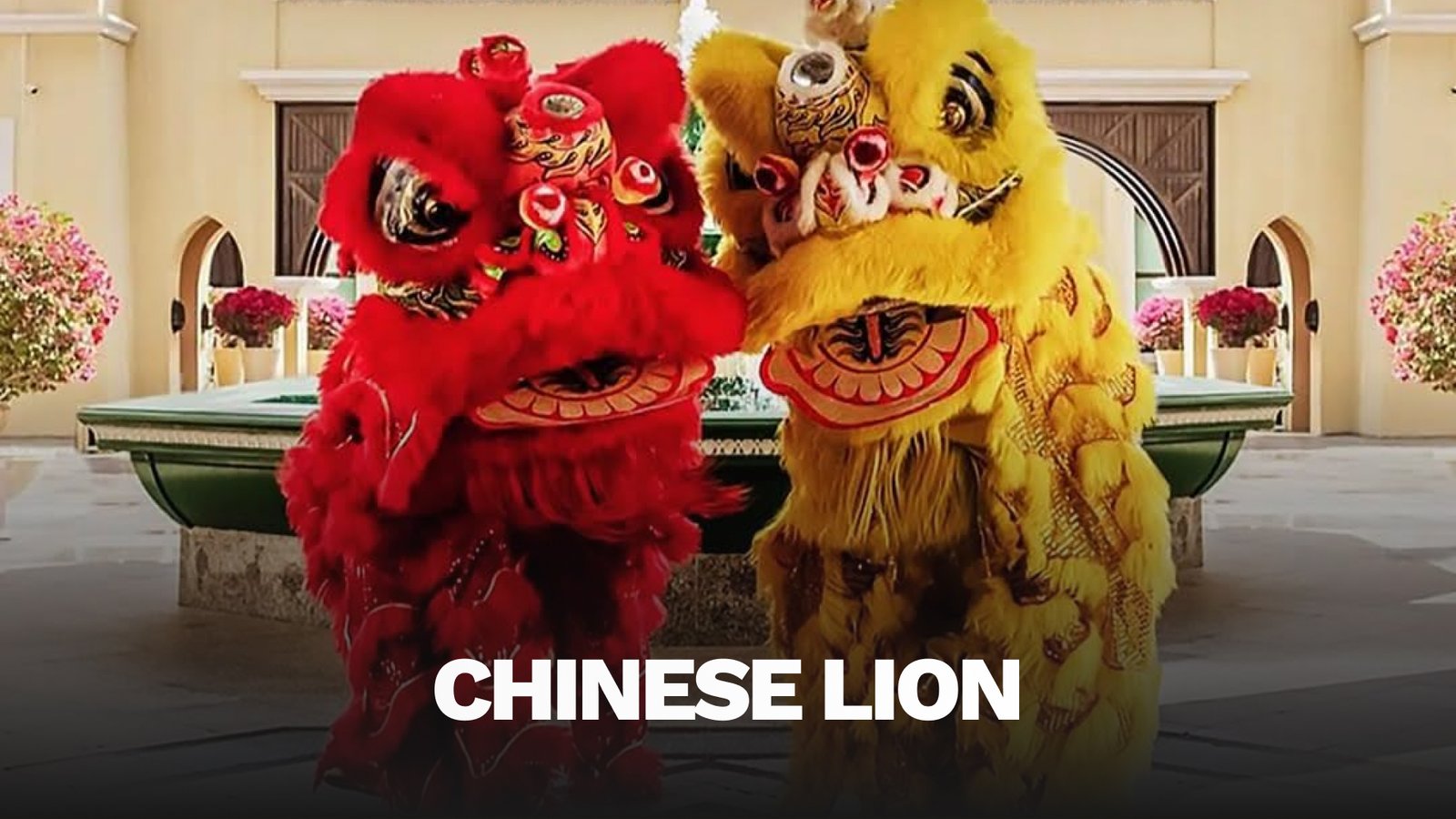 chinese lion